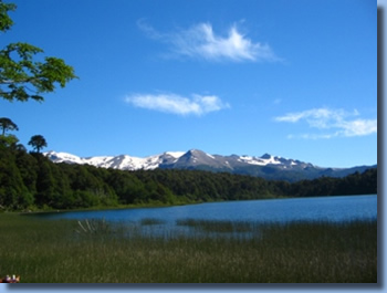 Lakeshoreof lake Isolda on a horseback trail ride in NP Huequehue, Chile